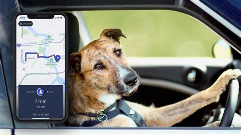 Uber pet. Things To Know About Uber pet. 